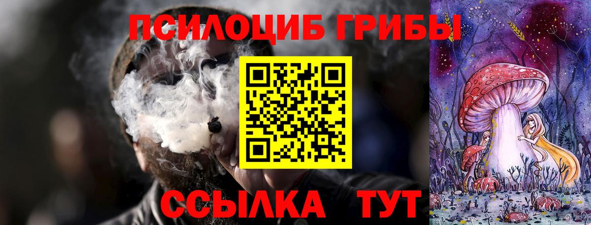 Псилоцибиновые грибы Psilocybe Шарыпово
