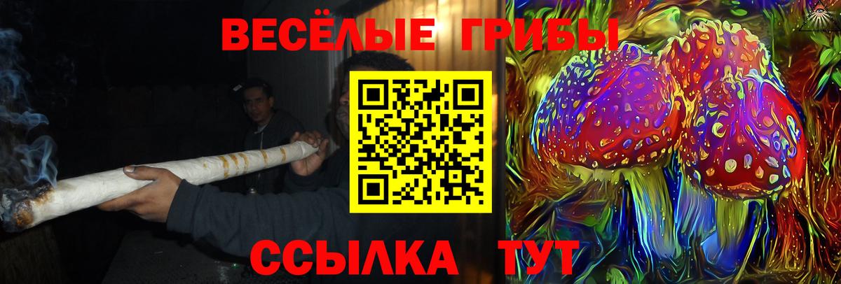 Галлюциногенные грибы прущие грибы  Вход с VPN  Галлюциногенные грибы мицелий  Шарыпово 